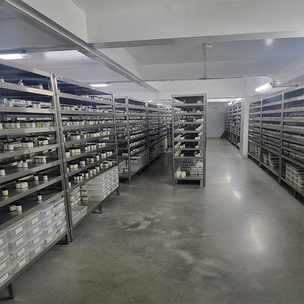 Guangzhou plant fragrance Co., Ltd خط إنتاج المصنع