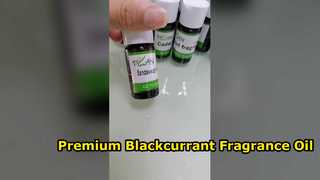 زيت عطري فاخر من الكشمش الأسود للشموع وأجهزة نشر الروائح