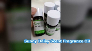 زيت عطر ديزي، رائحة منزلية تدوم طويلاً