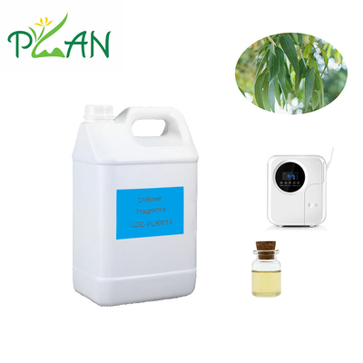 عطور إيكالبتوس المنتشرة العطور الطبيعية النقية فرنسا عطور زيت شجرة الشاي