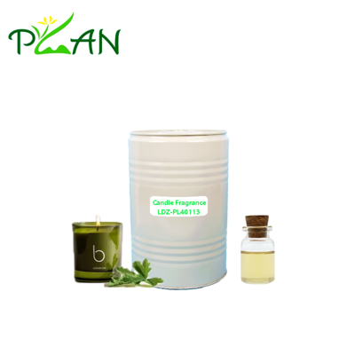 زيت عطر شمعة جوهر إبرة الراعي المركز