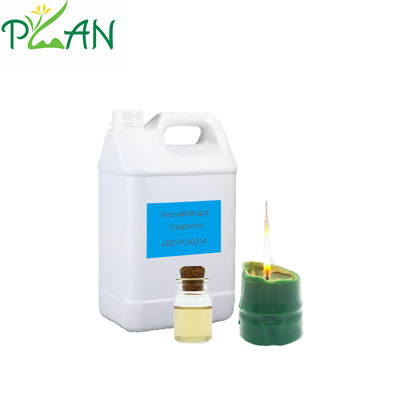 العطر المنزلي مع العينة المجانية زيت جوهر الخيزران الأخضر لعصا القصب والشمعة العطرية الباردة وصناعة / إنتاج العطر المنتشر