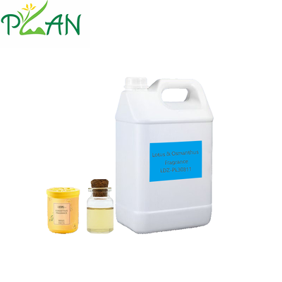 عينة مجانية للفندق والمنزل Diffuser Aroma Lotus & Osmanthus رائحة نكهة النفط الجوهري للشجرة القصبية & شمعة رائحة باردة & Diffuser Fragrance Making / Production